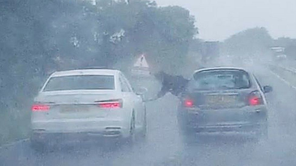 Man leaning from one moving car to another