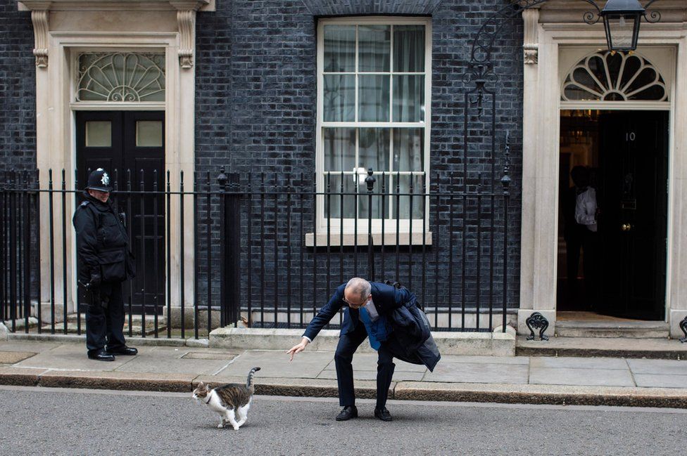 Kazuo Okamoto, chief executive of Mitsubishi Heavy Industries Europe attempts to stroke Larry the Downing Street cat