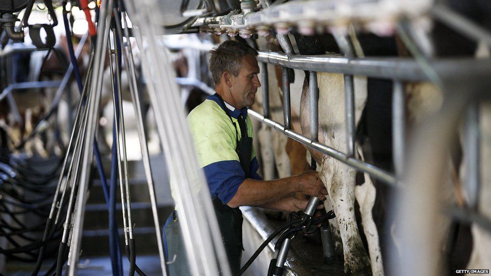 New Zealand's Fonterra raises dividend to help farmers BBC News