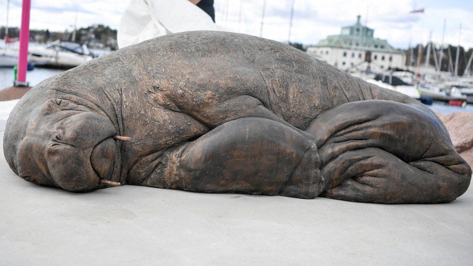 Walrus Freya killed by Norway gets Oslo sculpture - BBC