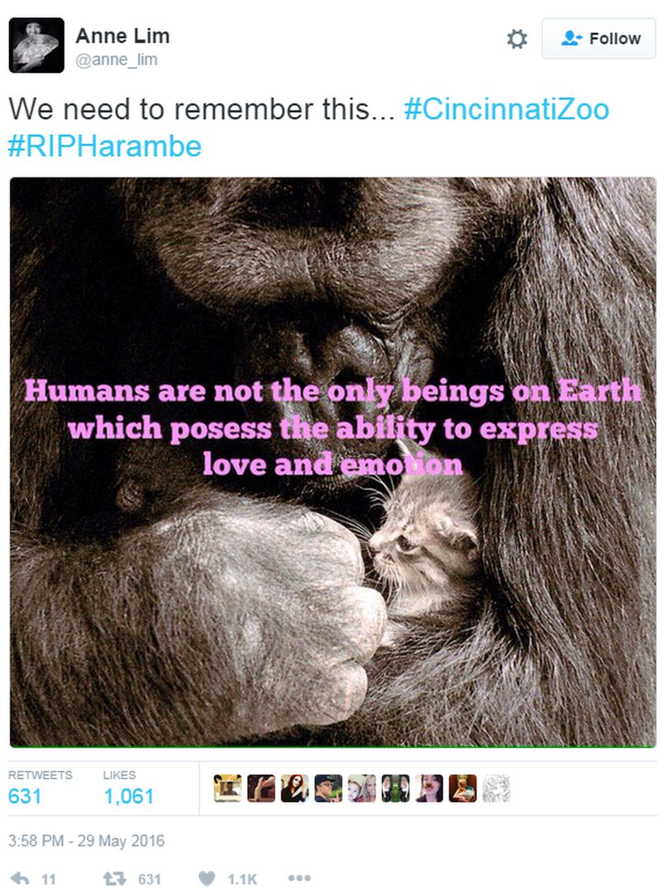 Tweet: we need to remember that humans aren't the only animals capable of love and empathy