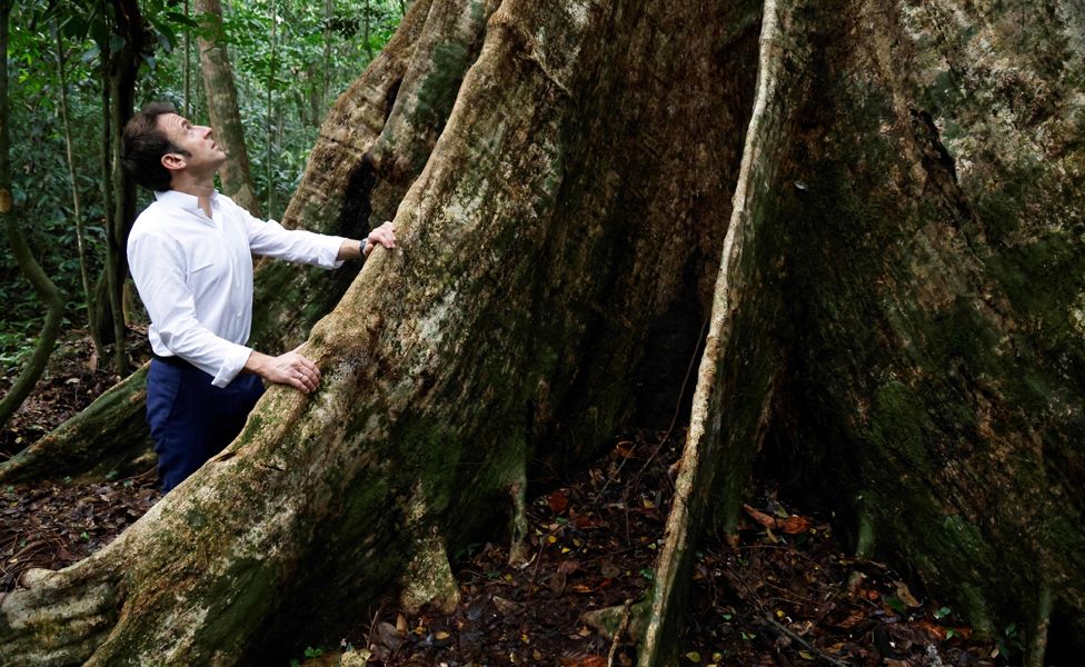 French President Emmanuel Macron in the Foret des Géants (Forest of Giants) near Libreville, Gabon - Thursday 2 March 2023