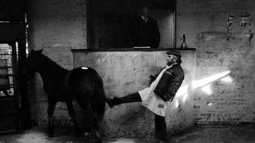 A man and a horse at a Wrexham. horse market