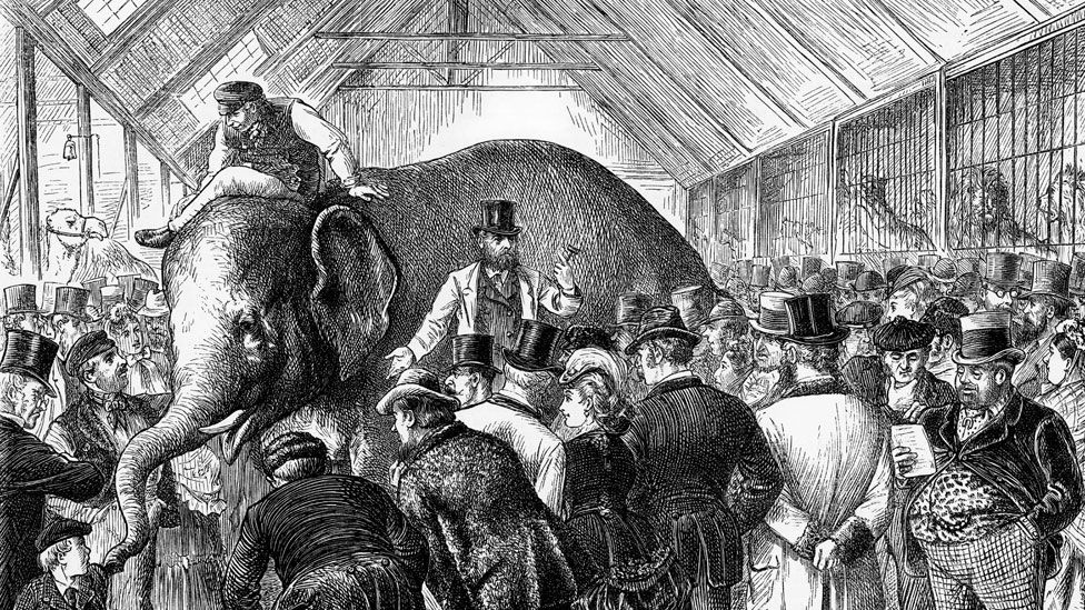Гравюра, изображающая викторианский аукцион слона