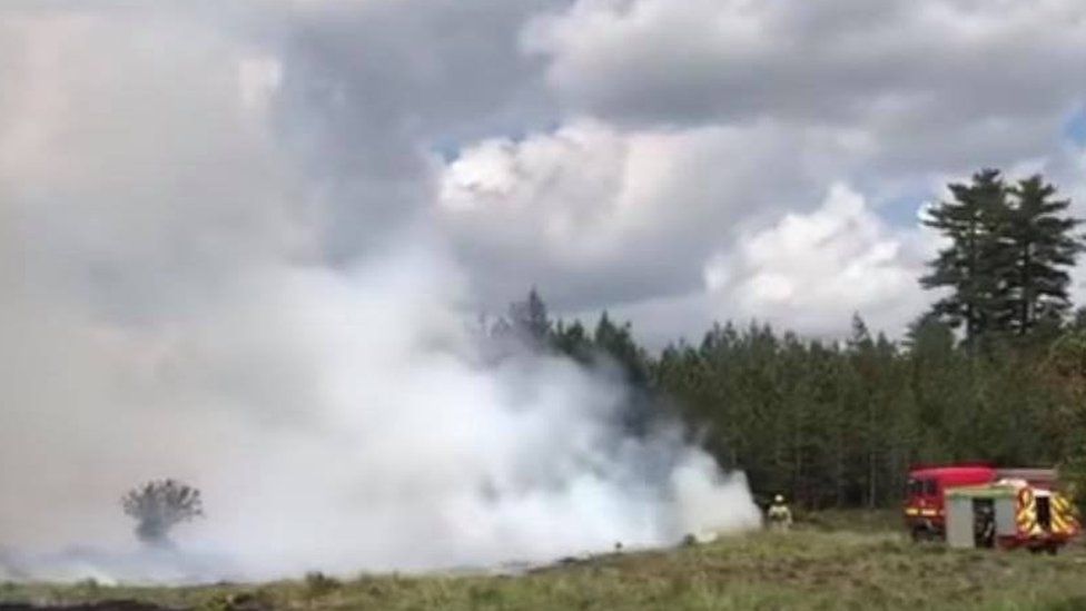 Wareham Forest fire on 8 June 2020