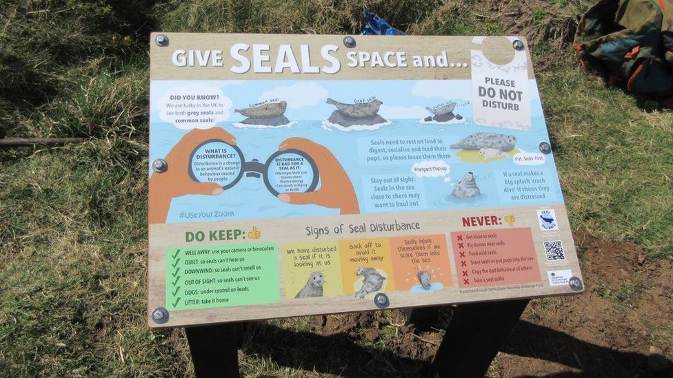 A 'give seals space' sign on Gower