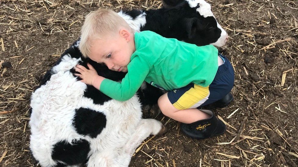 Ashley Gamble's son cuddles next to a cow on their farm