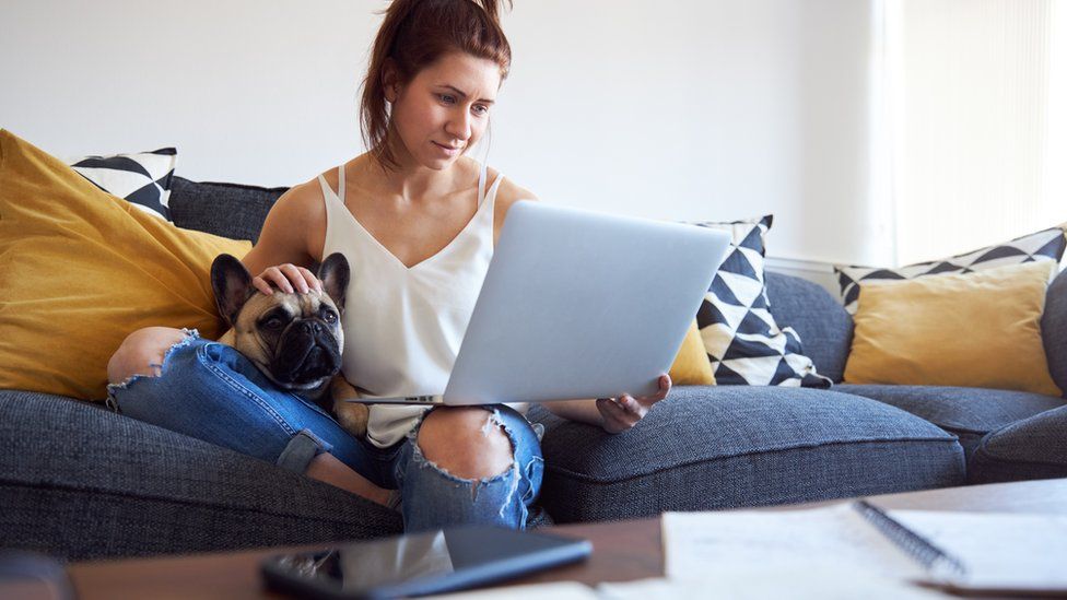 A woman stroking her dog while working on her laptop