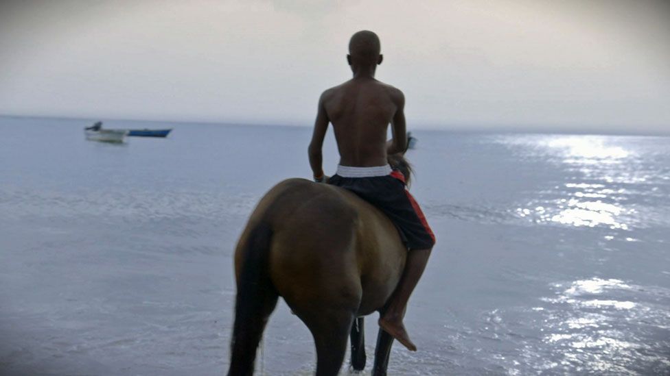 A man on a horse looks out to sea