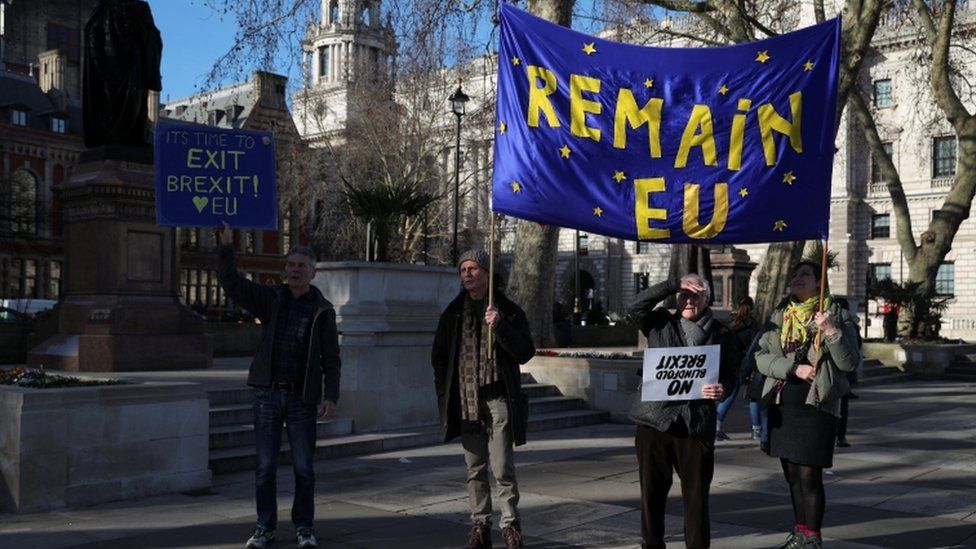 anti Brexit protestors