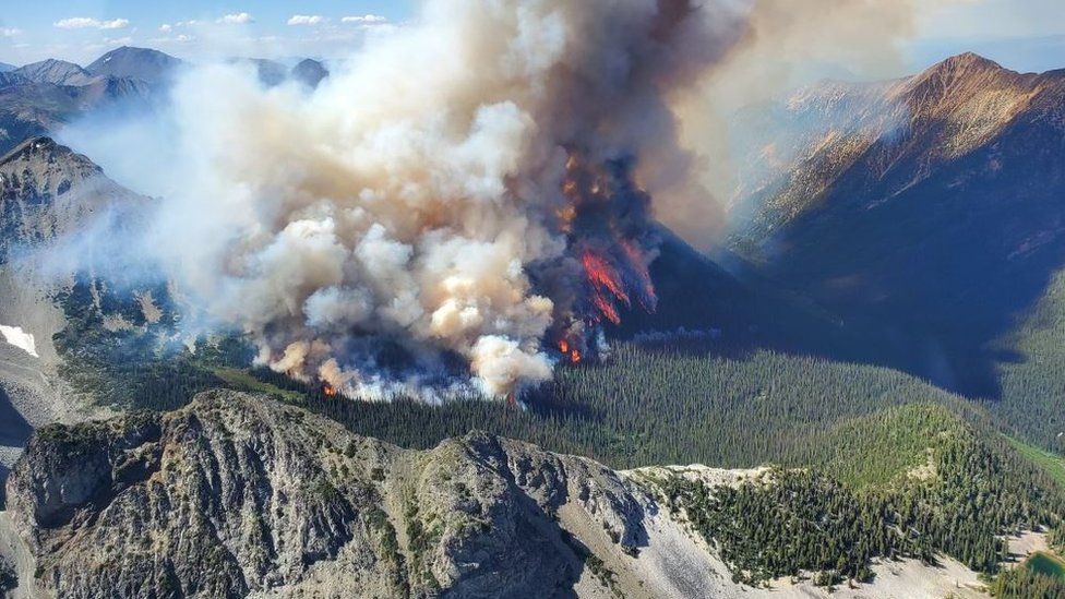 Лесной пожар в Техас-Крик, Британская Колумбия, Канада