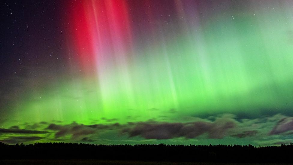 Green and pinky-red aurora above trees in Elgin