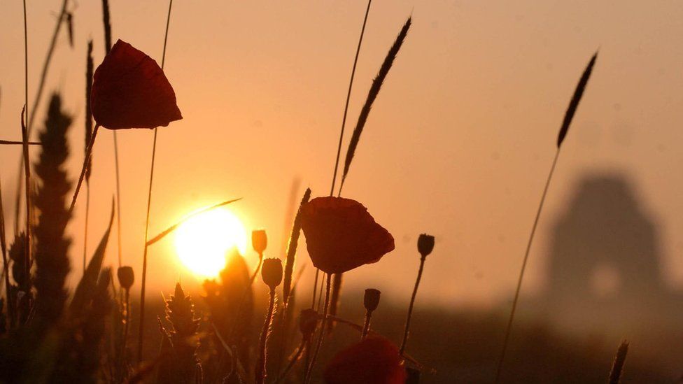 The sun rises over wild poppies growing on the edge of a field at Thiepval in northern France, close to a monument to soldiers who died during the Battle of the Somme