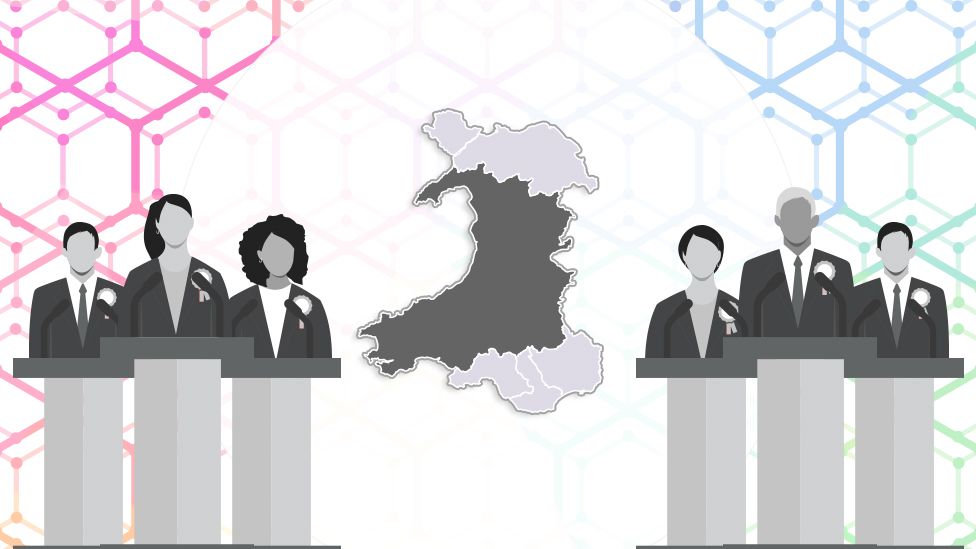 Mid and West Wales regional election candidates