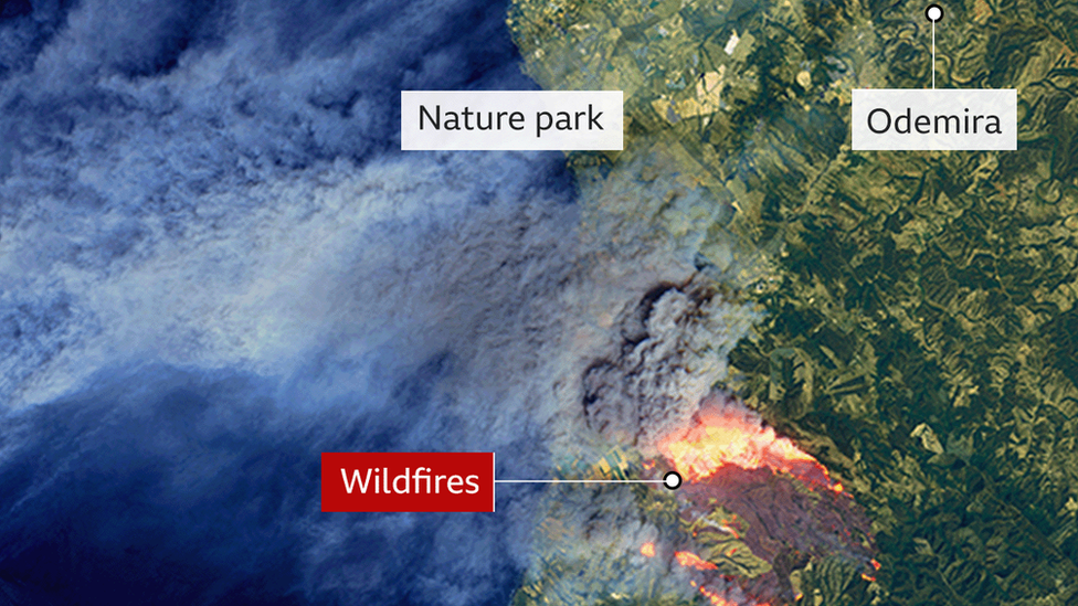 A map of wildfires in Portugal