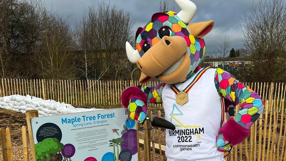 Games' mascot Perry the Bull at the site in Erdington