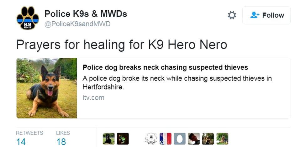 Tweet about police dog
