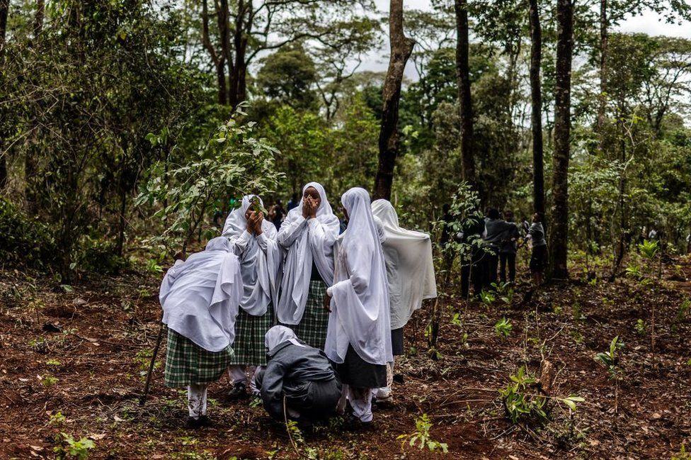 A group of girls react as they gather to plant tree seedlings in an urban forest during the nationwide tree planting public holiday in Nairobi on November 13, 2023.
