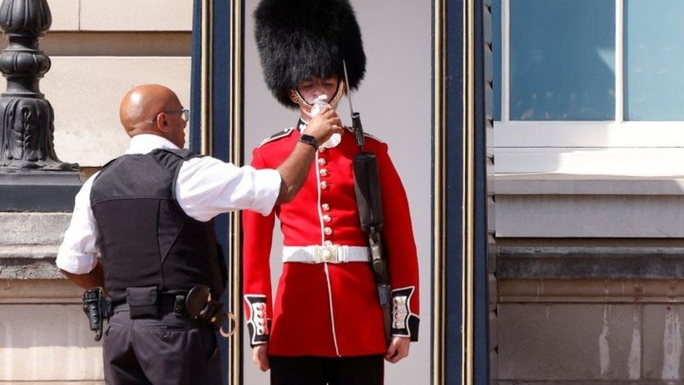 A Queen's Guard serviceman is given water
