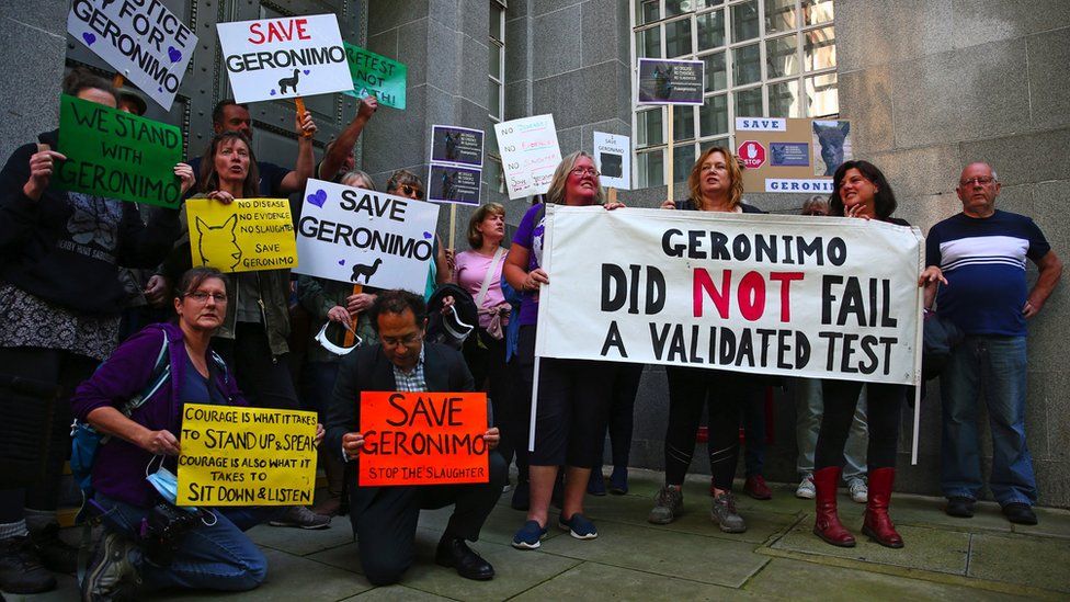 Group at Downing Street