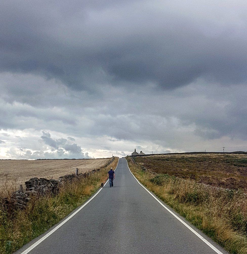 A man and a dog walking down a road