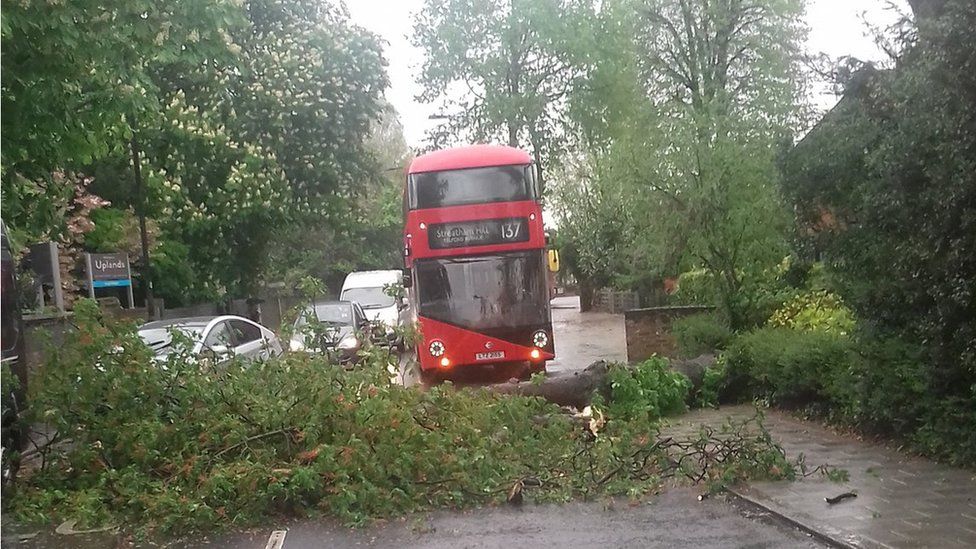 A tree blocks the road in Leigham Court Road in Streatham, south London