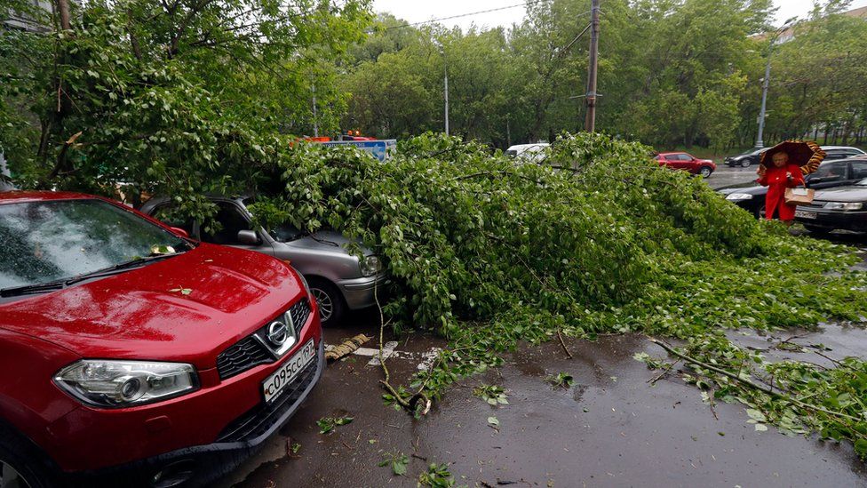 Cars under fallen trees after a strong thunderstorm hit Moscow, Russia, 29 May 201