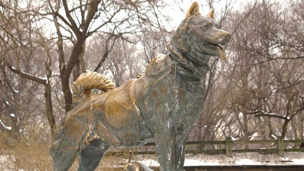 A statue of Balto the sled dog in New York City