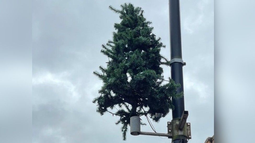 Christmas tree on lamp-post