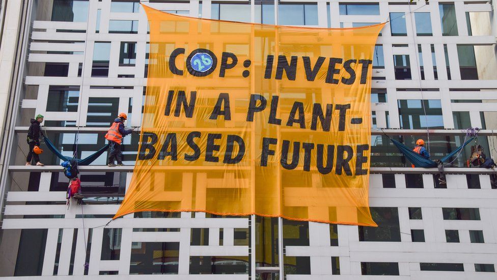 COP26: Invest in a plant-based future