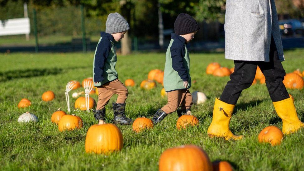 Twins Alfie and Noah Dinsdale, four, walking through a pumpkin patch with mother Leanne