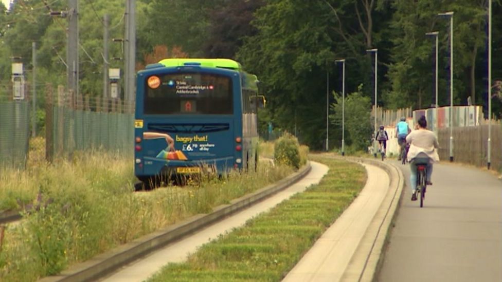 Cambourne to Cambridge busway threat to hundreds of orchard trees BBC