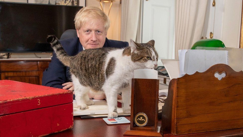 Larry the cat is known as the chief mouser and lives at No 10, but is unlikely to see much of the dog