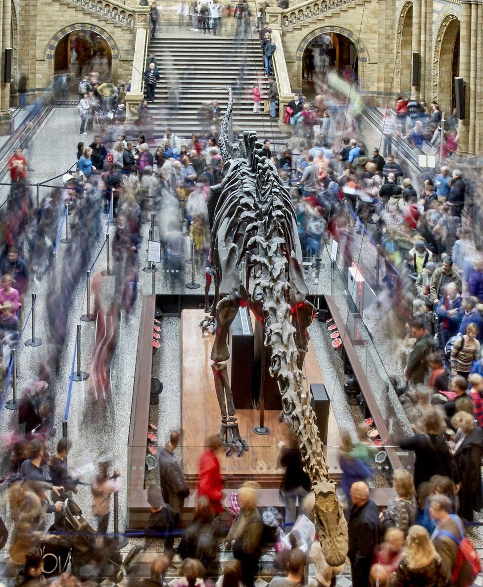 Time lapse photo of Dippy and museum visitors