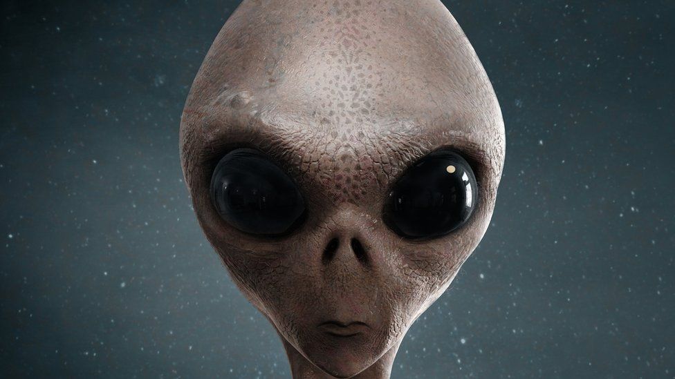 alien of the united states