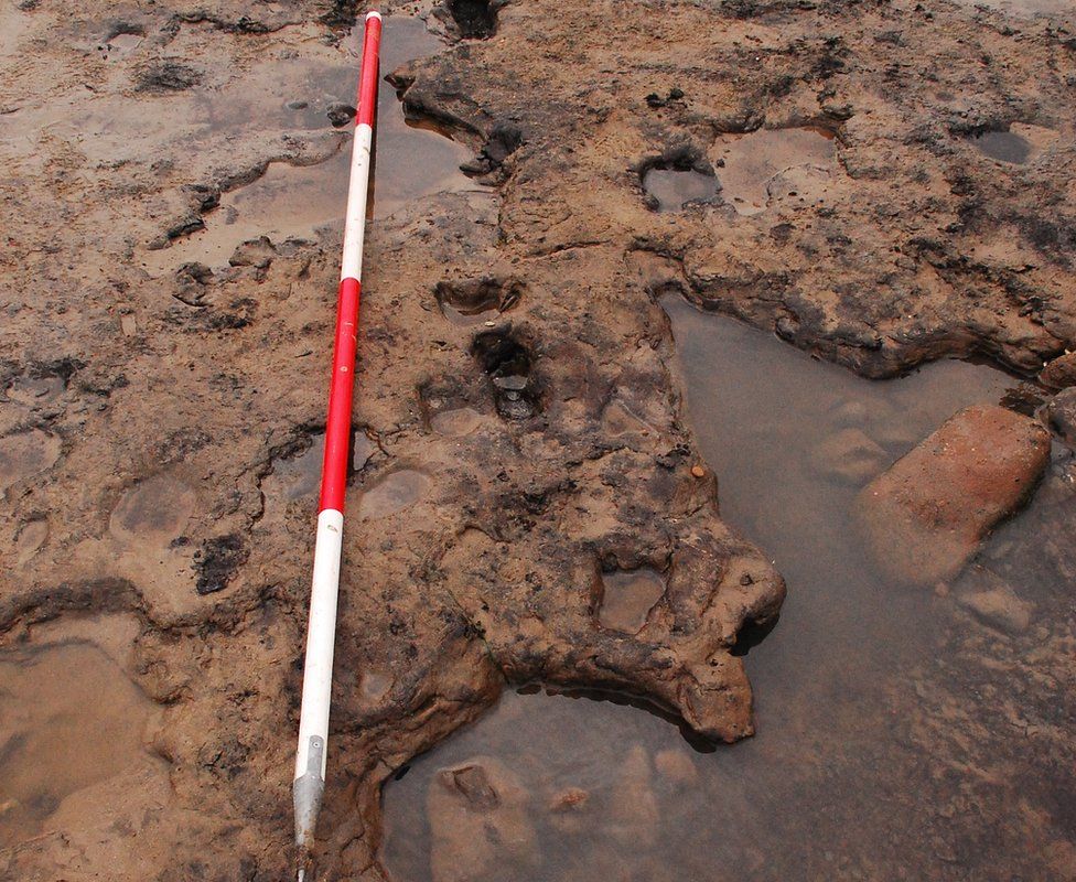 Mesolithic footprints found on Gower beach