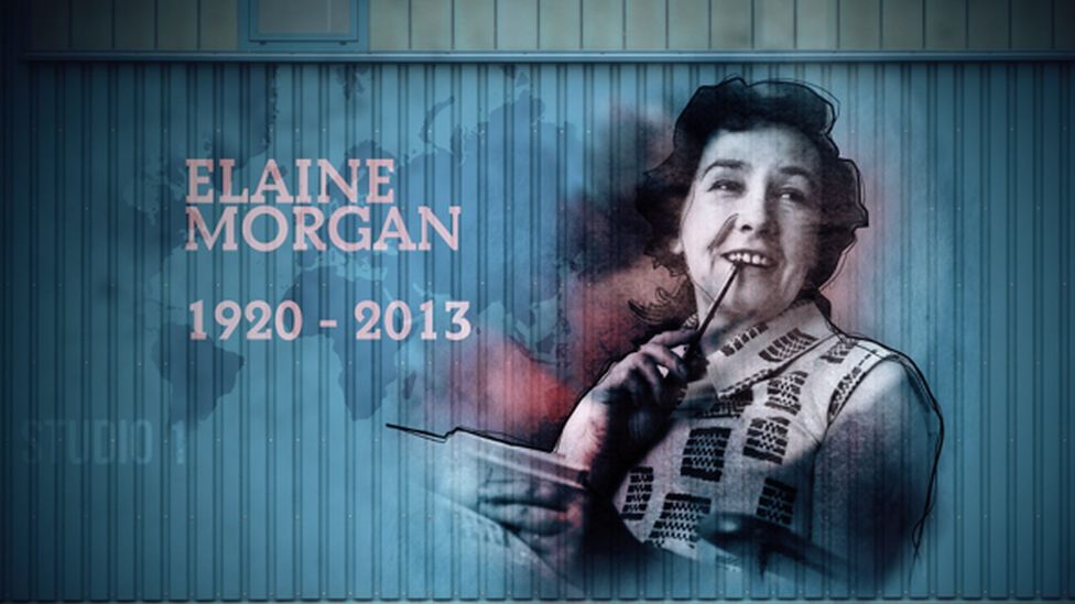 Stylised photo of Elaine Morgan