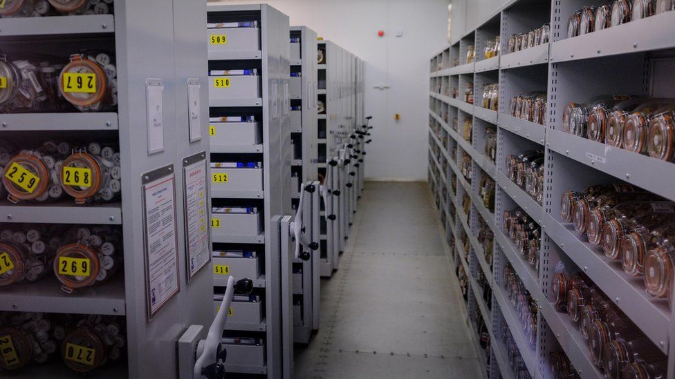 Kew Gardens' Millennium Seed Bank hits major milestone BBC Newsround