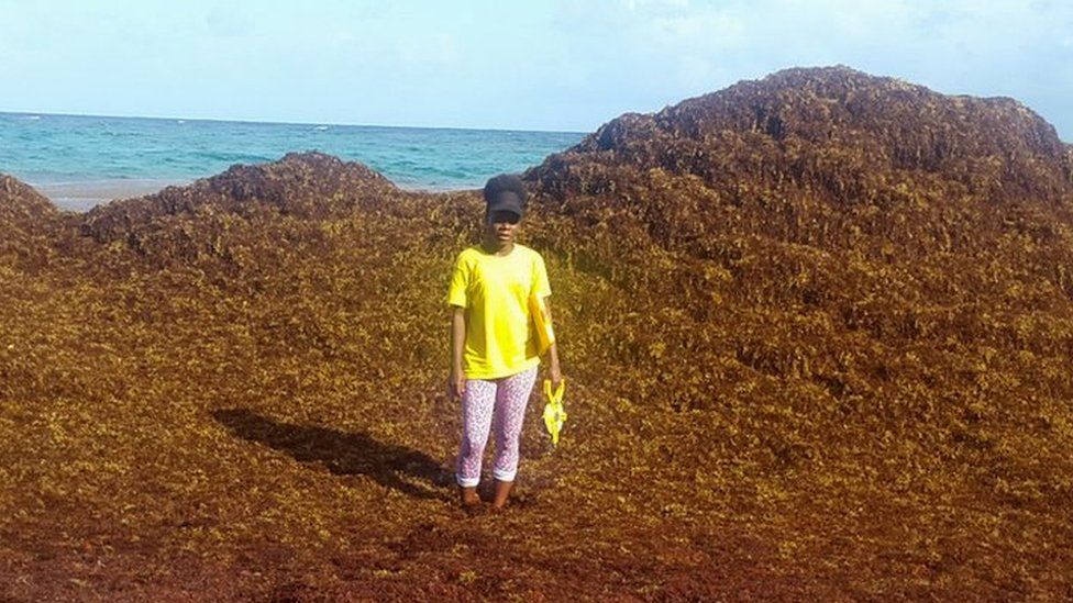 Carla Daniel standing amid a mountain of sargassum on 8 June, Falmouth Beach, Barbados
