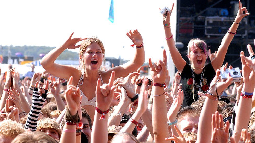 Fans at a music festival