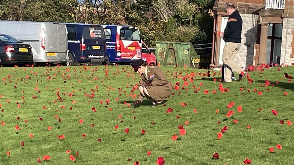 Poppies planted in a lawn in Llandudno to remember the fallen