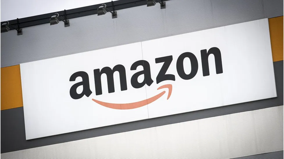 European parliament revokes Amazon lobbyist passes