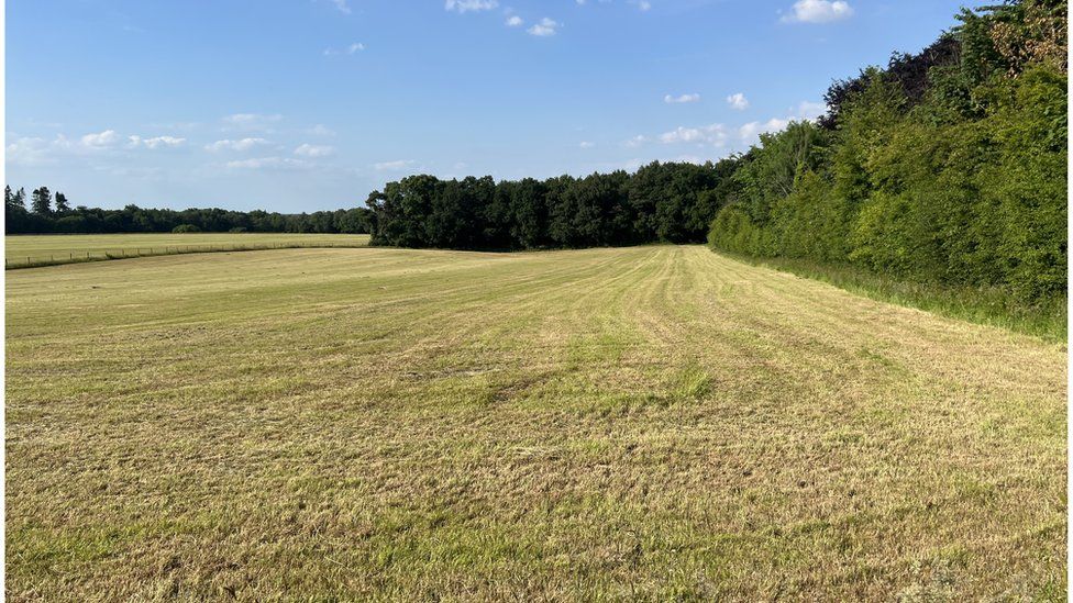 A photo of the empty field in Abbots Leigh