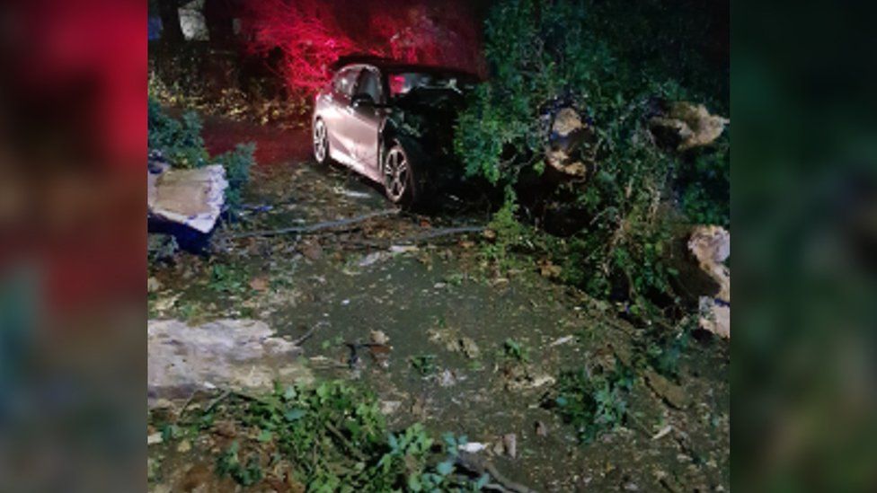 Tree fallen on car