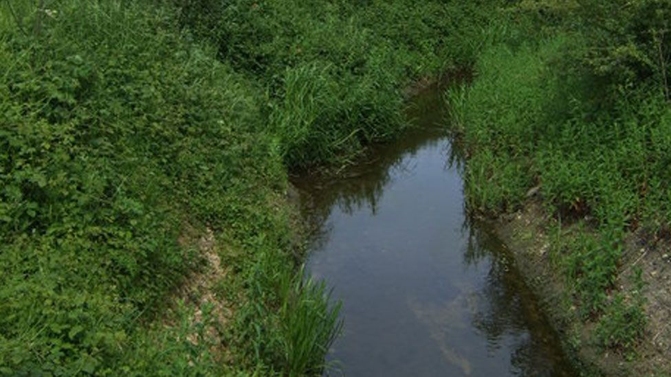 River Til, Yelden, Bedfordshire