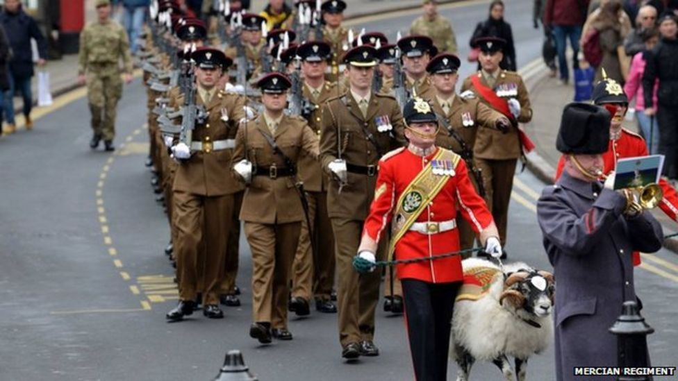 Army Sheep Private Derby Xxx Promoted To Lance Corporal Bbc News 9100