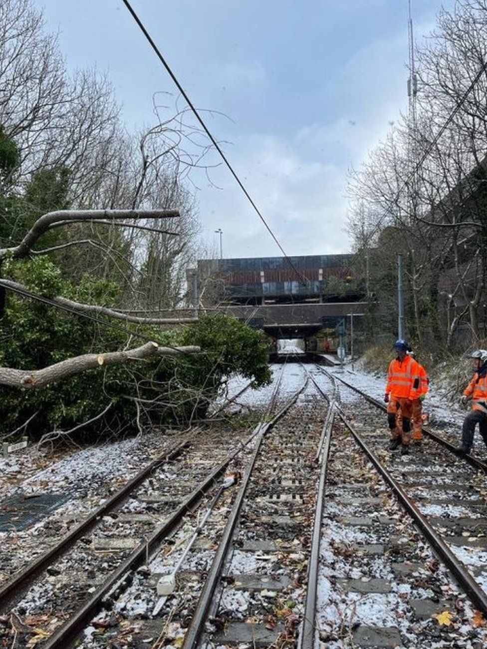 Engineers work to clear a large tree from a Metro line
