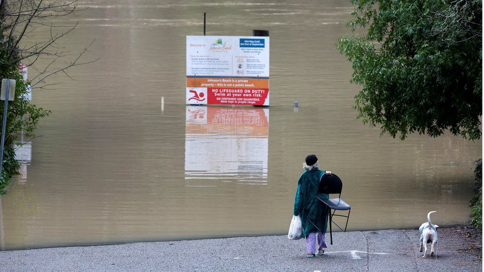 Woman surveys the flooding at Guerneville