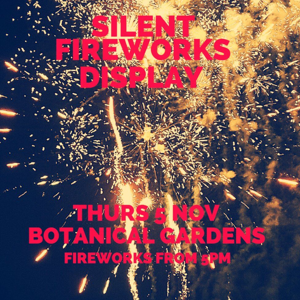 Bangs at Birmingham silent fireworks display 'upset children' BBC News