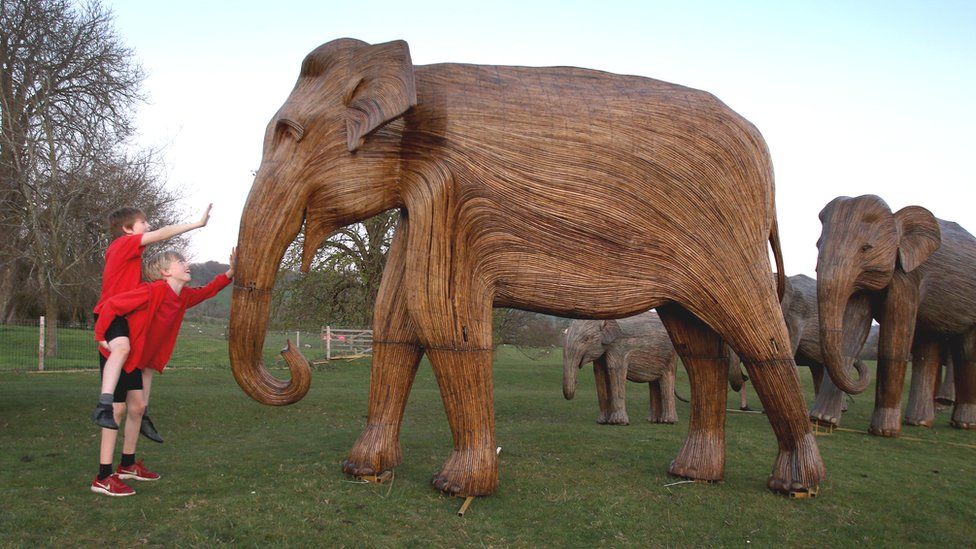 Wooden elephant herd 'migrates' to show human encroachment - BBC News